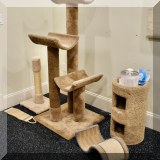 Z10. More cat stuff 